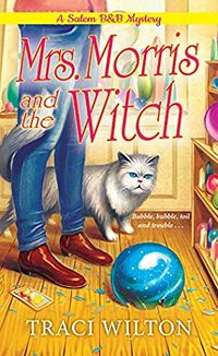 Cover of Mrs. Morris and the Witch by Traci Wilton