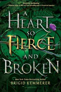 Cover of A Heart So Fierce and Broken by Brigid Kemmerer