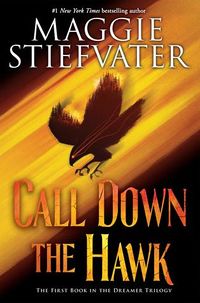 Cover of Call Down the Hawk by Maggie Stiefvater