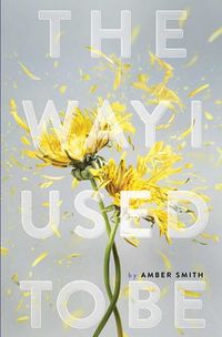 Cover of The Way I Used to Be by Amber Smith