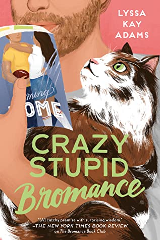File:Crazy Stupid Bromance by Lyssa Kay Adams.jpg