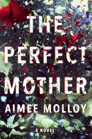 File:The Perfect Mother by Aimee Molloy.jpg
