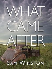 Cover of What Came After by Sam Winston