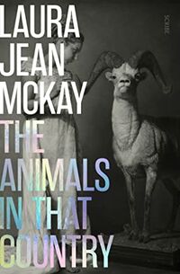 Cover of The Animals in That Country by Laura Jean McKay
