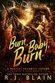 Burn, Baby, Burn by R.J. Blain.jpg