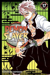 Cover of Demon Slayer: Kimetsu no Yaiba, Vol. 17 by Koyoharu Gotouge